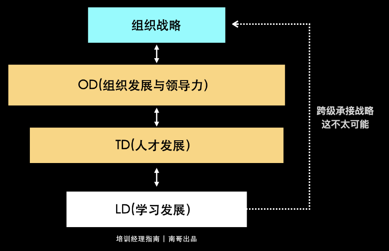 人才发展策略