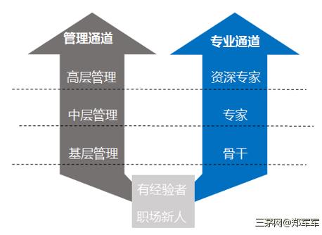 企业职业通道应如何制定？