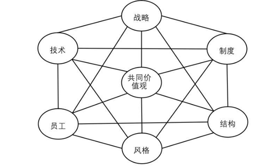 q12/blm/7s等组织诊断工具应用