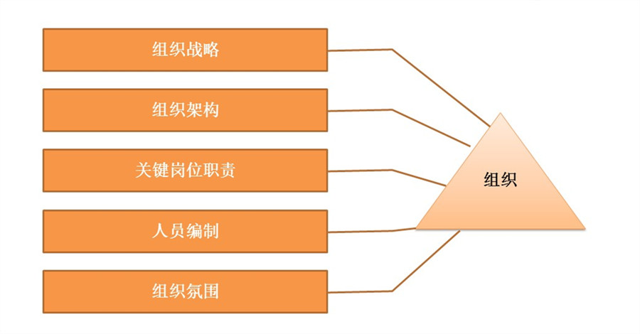 【最全干货分享】人才盘点所用到的十二项工具